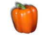 Captcha image 9842